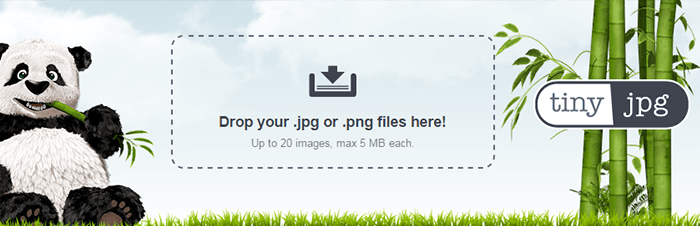 TinyJPG – Bilder verkleinern ohne Photoshop