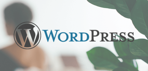 Die 6 besten & kostenlosen SEO WordPress Plugins und Tools