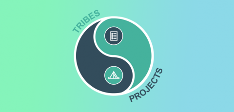 Effizienz durch „Projects und Tribes“ 